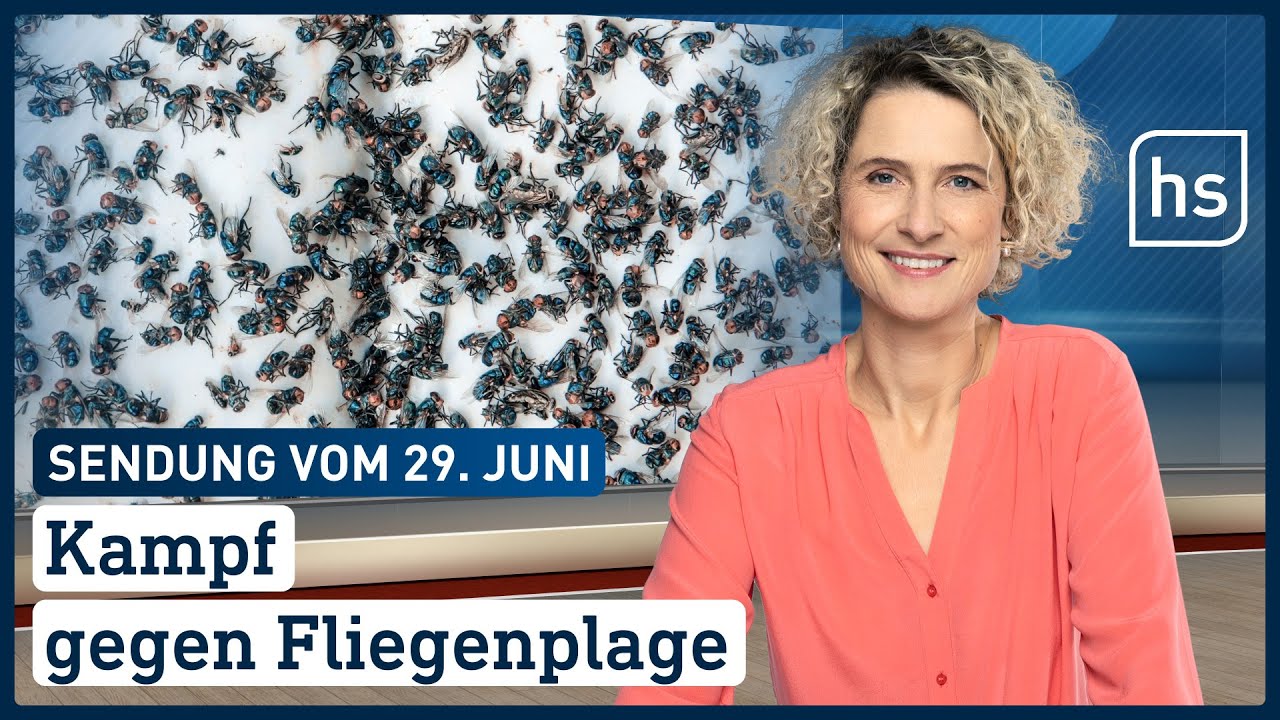 Kampf gegen Fliegenplage | hessenschau am 29.06.2022