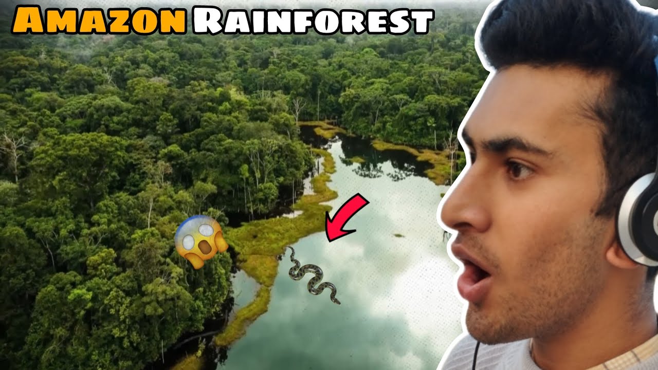 Most Dangerous Animals of Amazon Rainforest🤯 | The Lost City Of Amazon Jungle