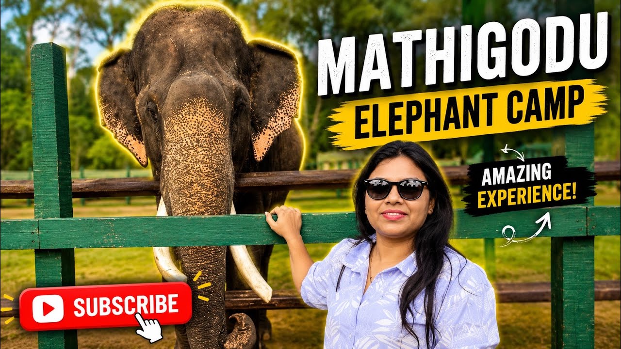🐘 Hidden Gem in Coorg 😳 Exploring Mathigodu Elephant Camp #nammivlogs