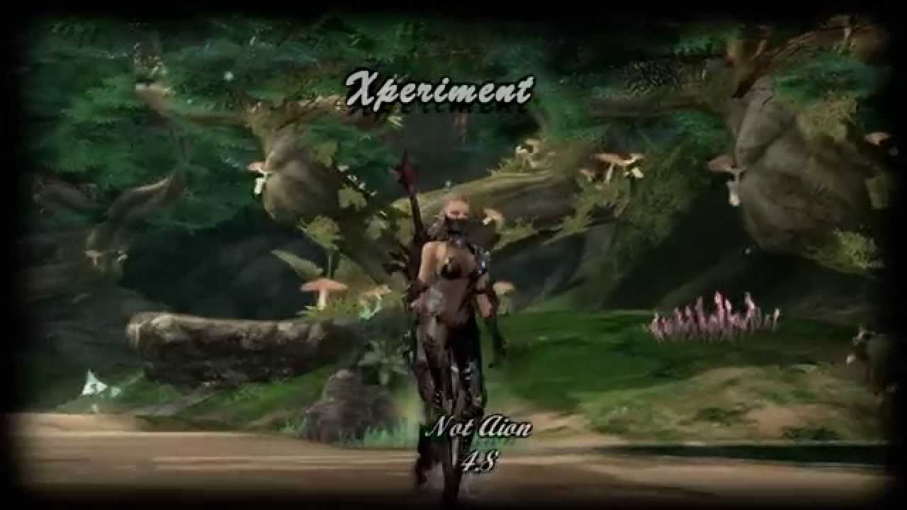 Not Aion 4.8 - Templar Solo PvP - The unique Playstyle