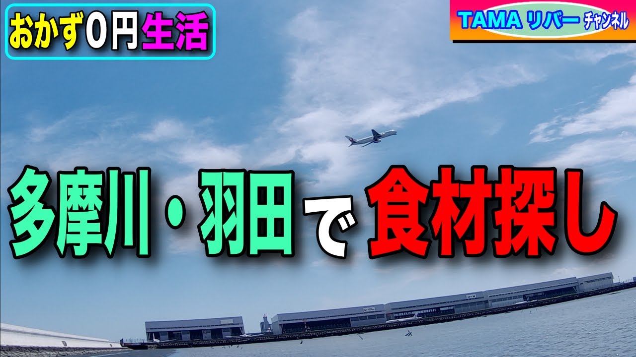 【おかず０円生活】多摩川・羽田で潮干狩り