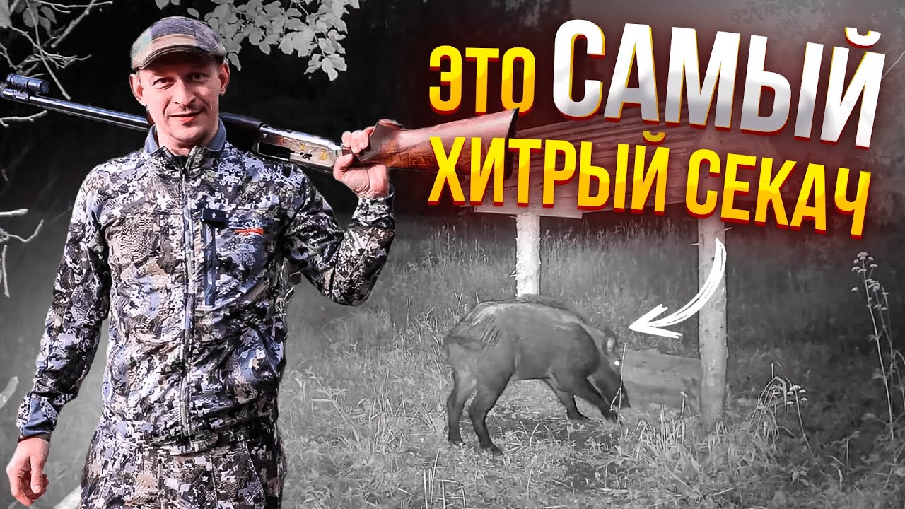 💥 Это была САМАЯ ДОЛГАЯ ОХОТА НА КАБАНА \\ Охотхозяйство УЗМЕНЬ