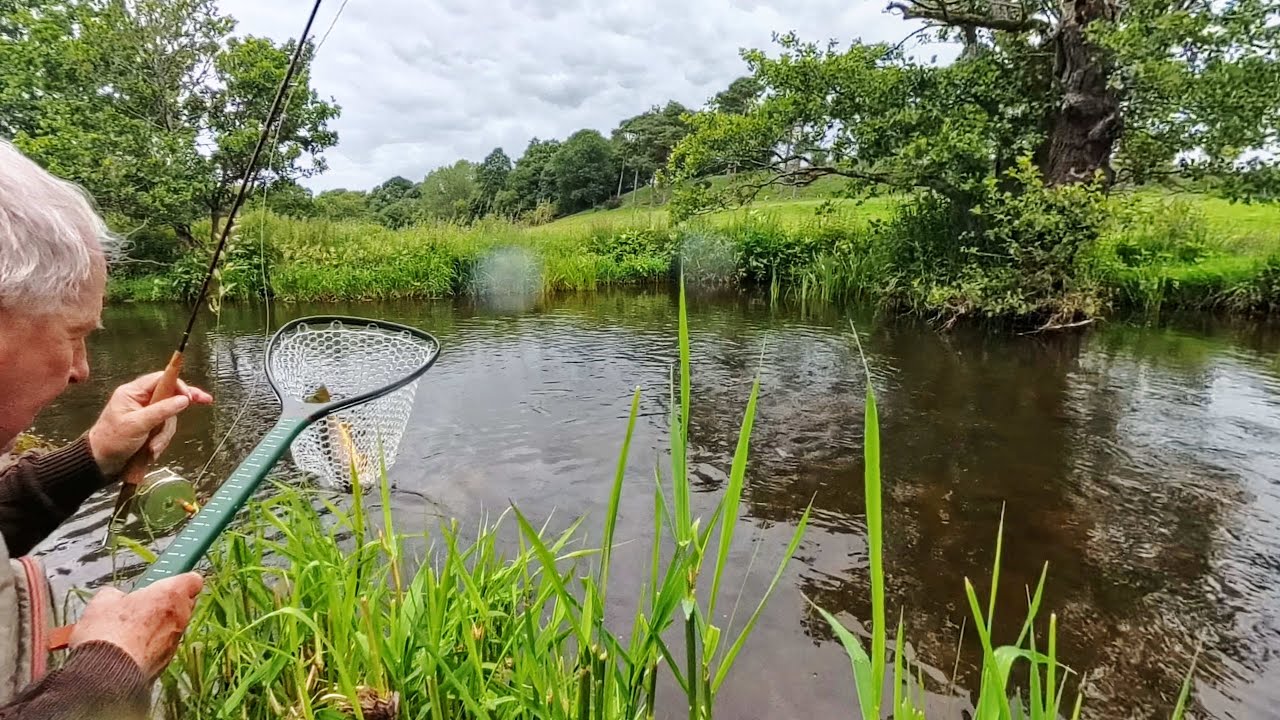 A NICE BRACE OF WILD TRORT