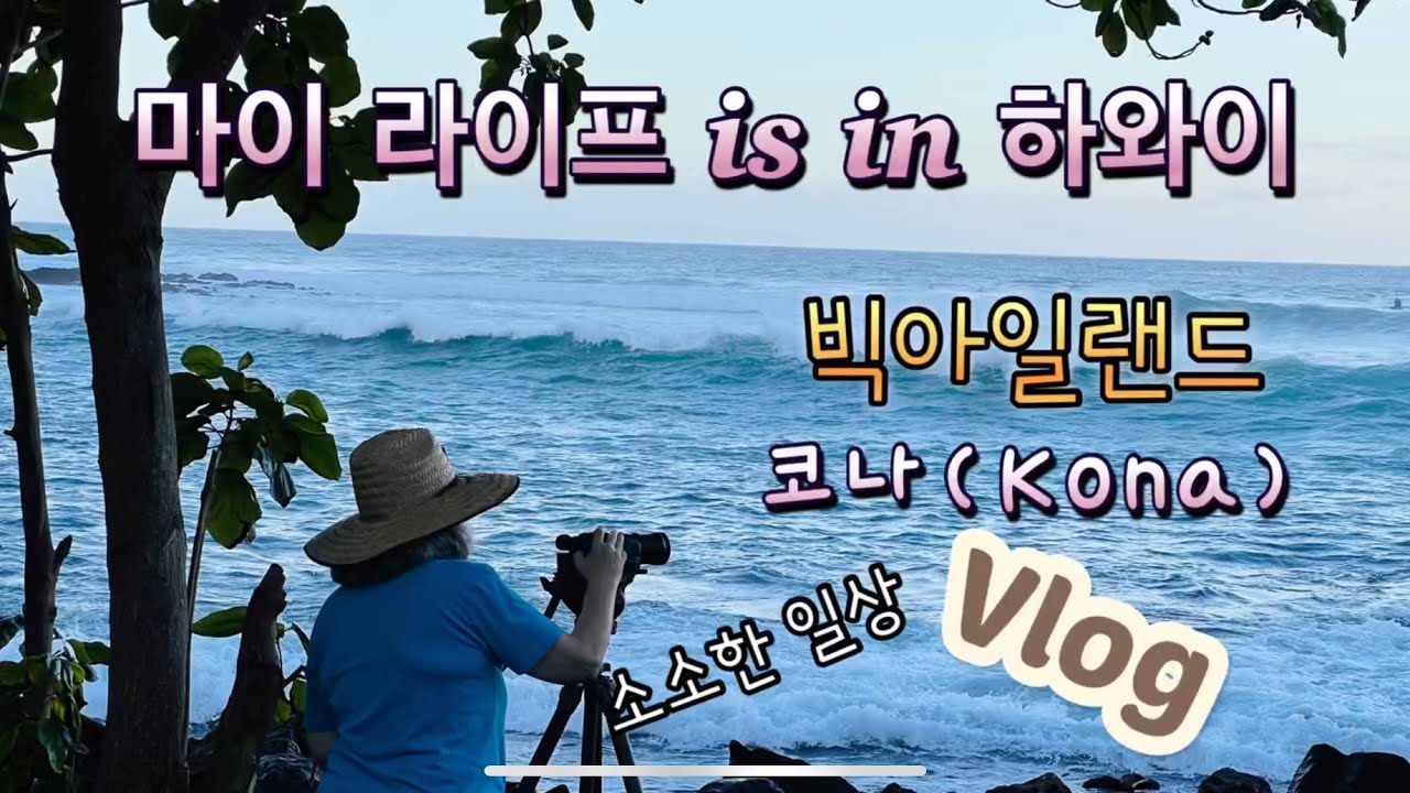 [하와이 vlog]빅아일랜드 코나  아줌마의 주말일상/🌴마당풀뽑고 청소하고 바쁜 주말//밥하기 싫은 주말저녁 관광객 모드로 코나 타운 콧바람😝🌺