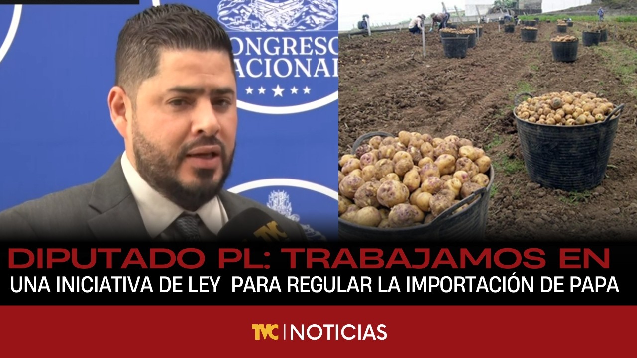 Diputado PL: Trabajamos en una iniciativa de ley para regular la importación de papa