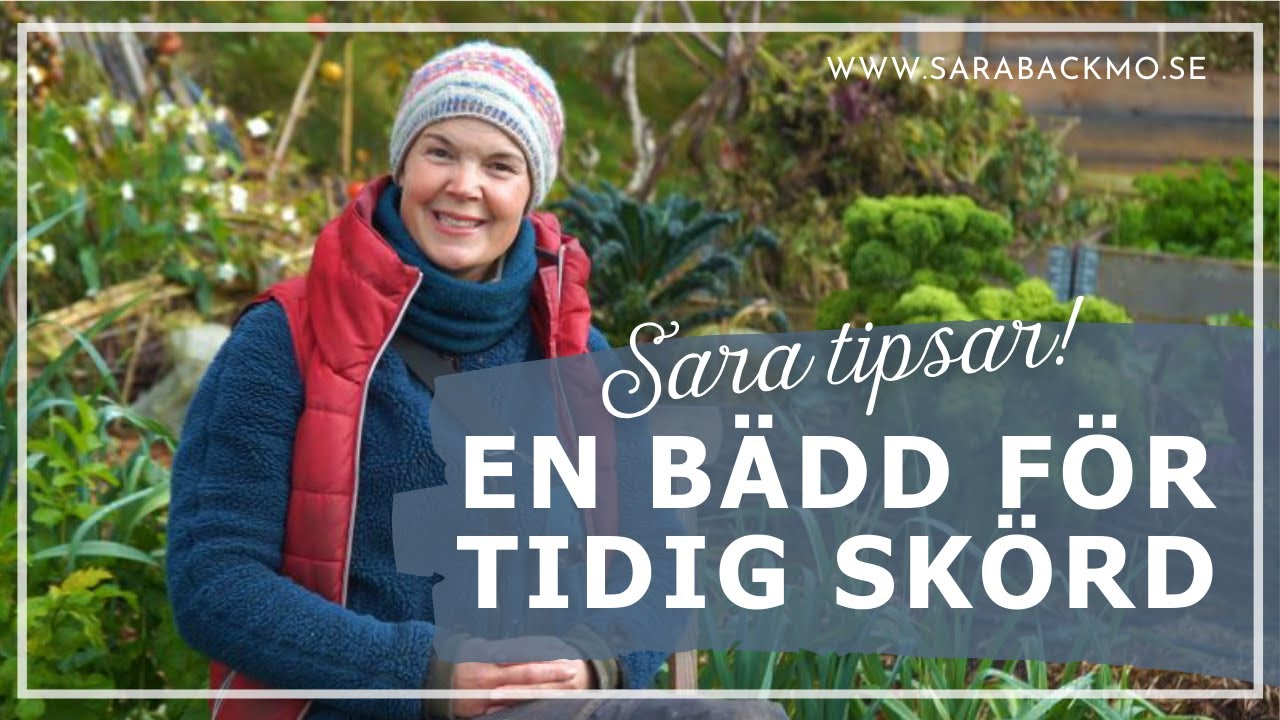 Gör en odlingsbädd för tidig skörd