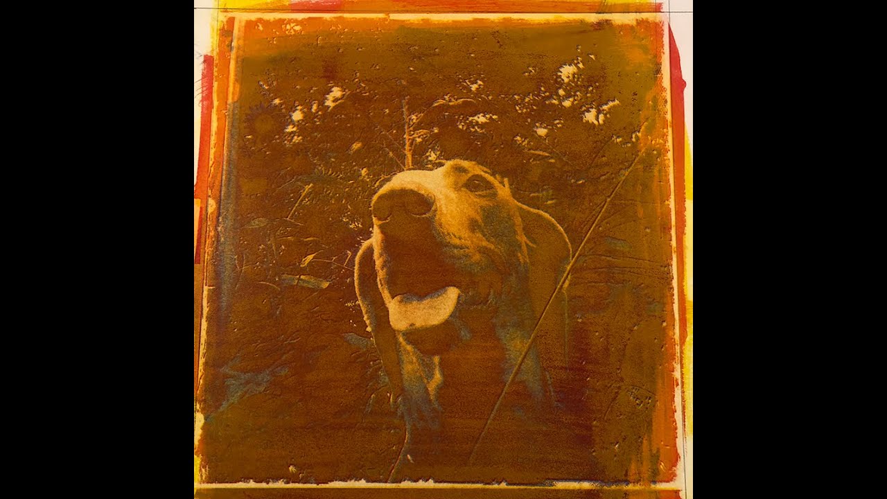 How to make a 3 color gum print.