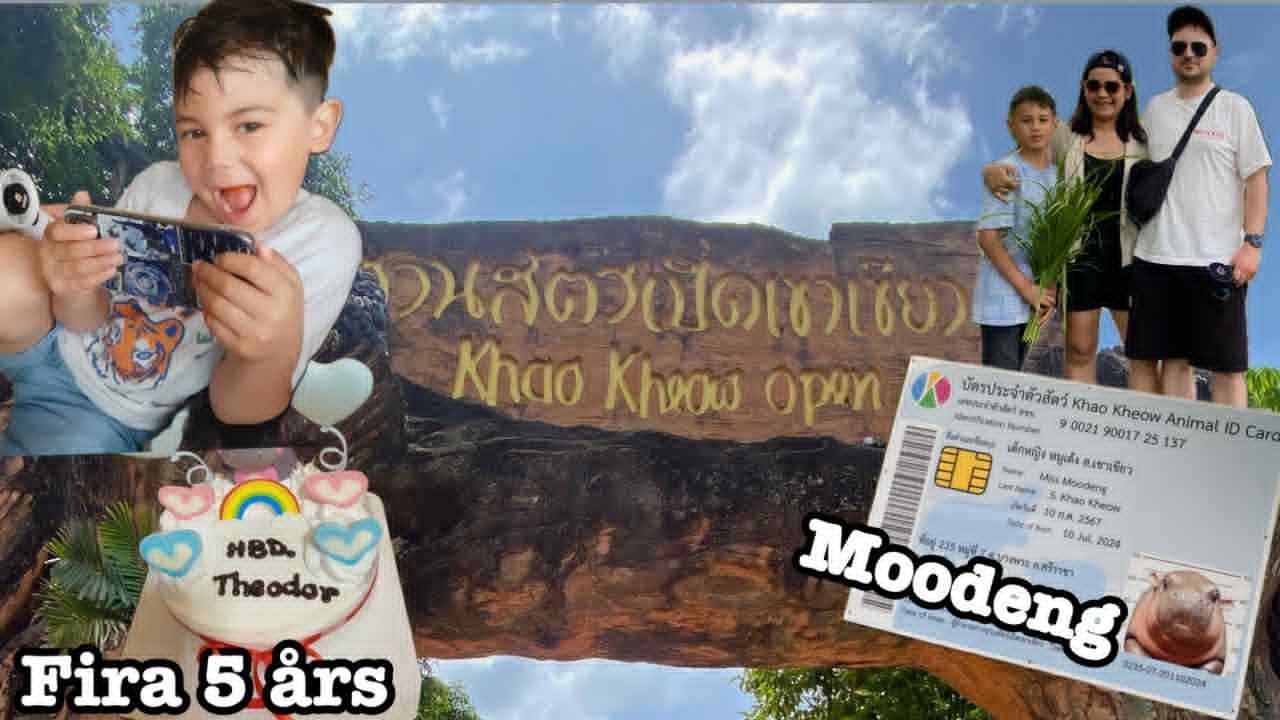 Djurpark, Moo Deng och en födelsedag
