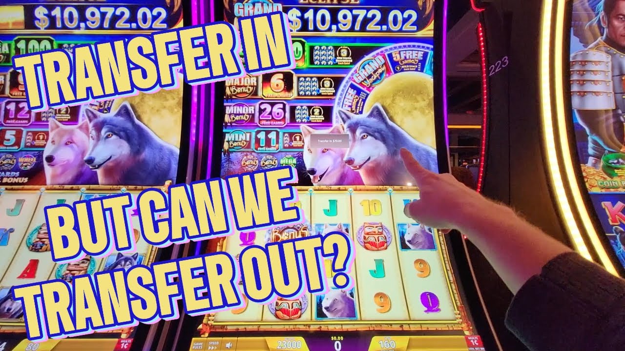🫣 Неудачная игра в свободном режиме приводит к счастливой случайности!!! 😄 Затмение Волка 🐺 🌕