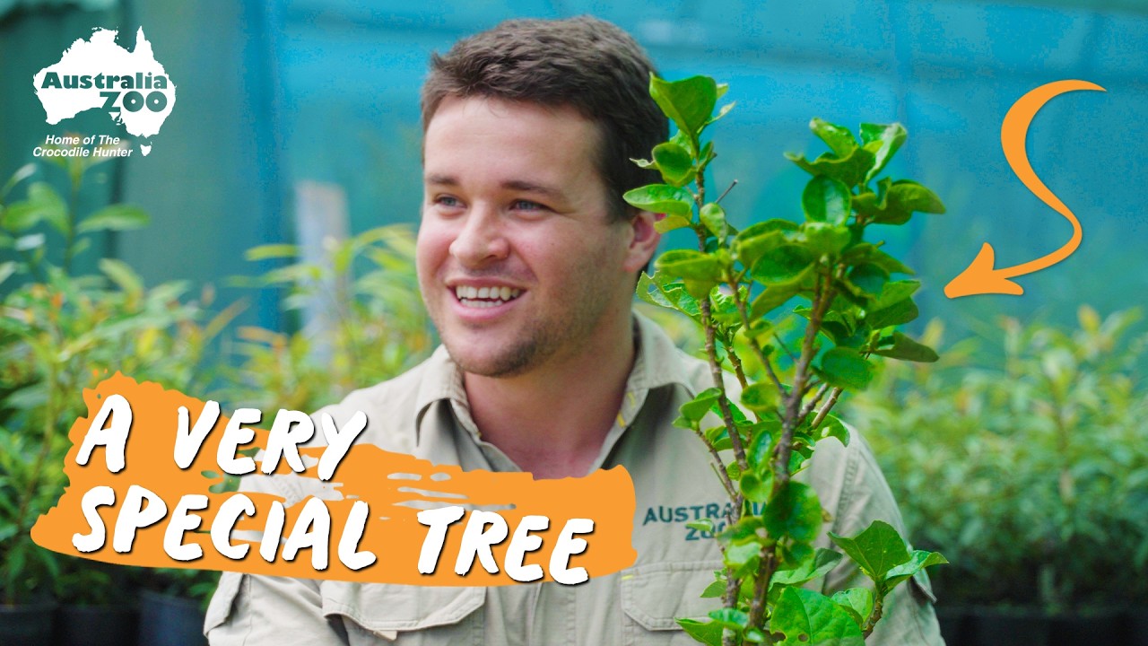 Chandler Tours the Zoo Gardens | Australia Zoo Life