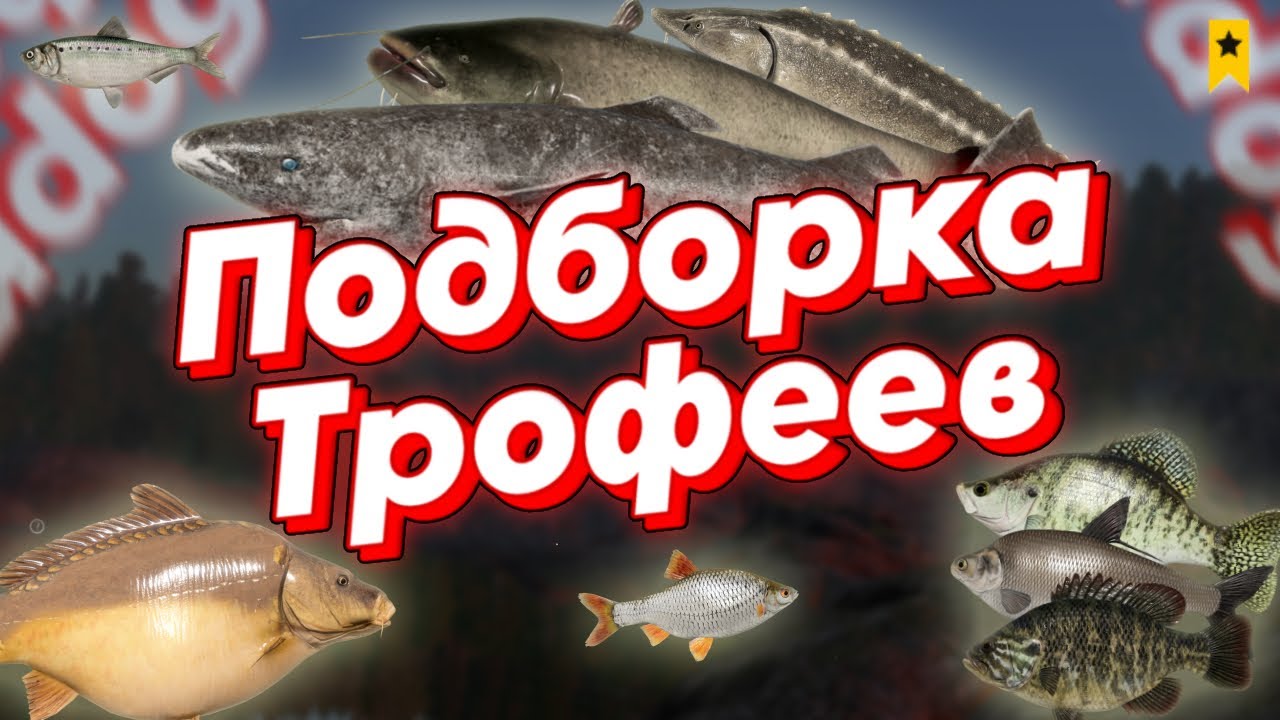 Подборка трофеев Русская Рыбалка 4 | Trophy Compilation Russian Fishing 4