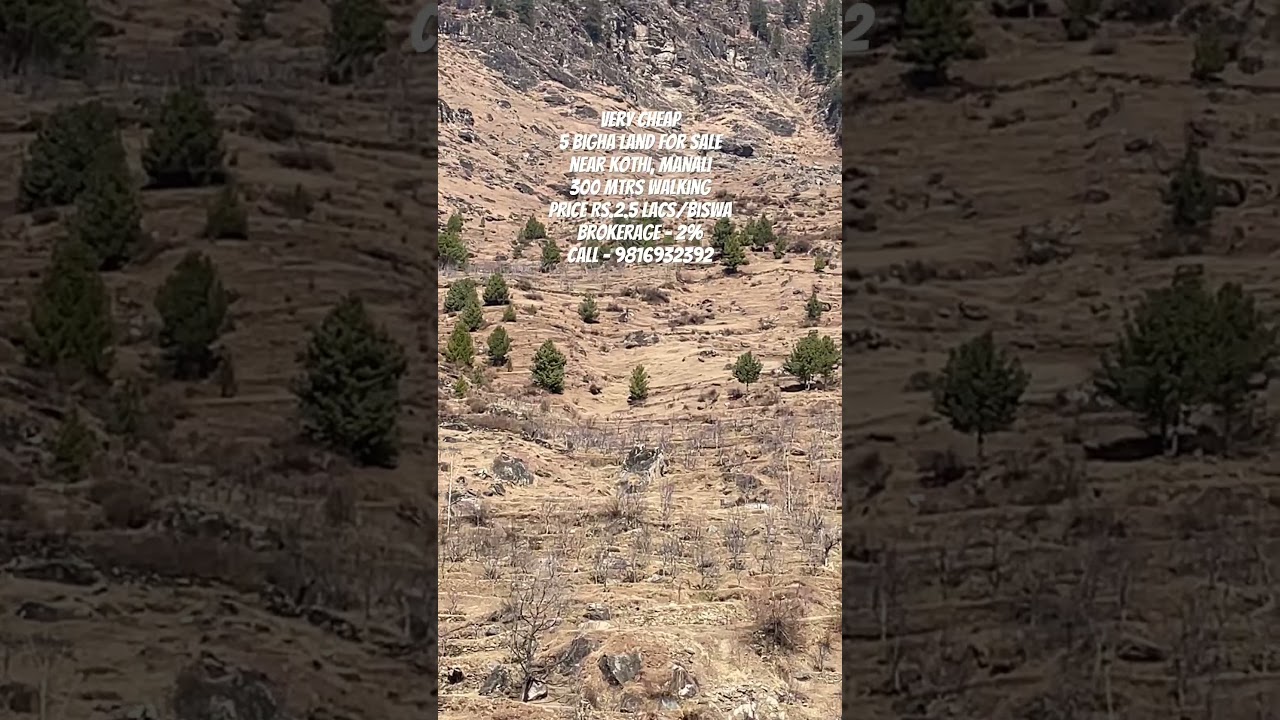 Cheap Land for Sale near Kothi, Manali #manali #lease #manali #realestate #property #plotforsale