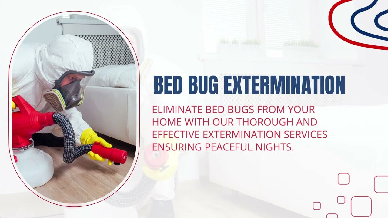 Bed bugs exterminator in Lakewood CO | Colorado Pest Pros