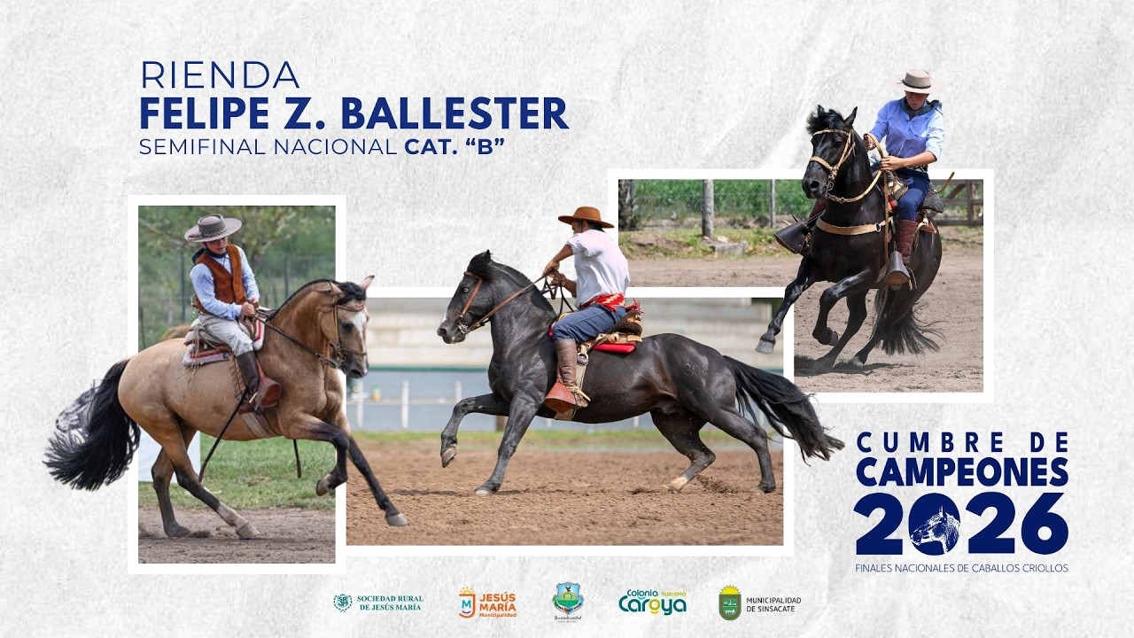 SEMIFINAL FZB - CATEGORÍA B