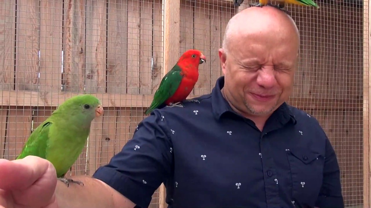 Liptov News: Marián Labuda ml. na Liptove