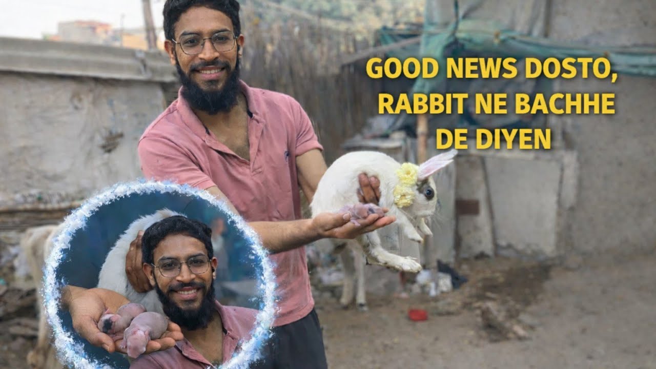 good news doston rabit 🐇 ne bacche de diye 🥰☺️😍