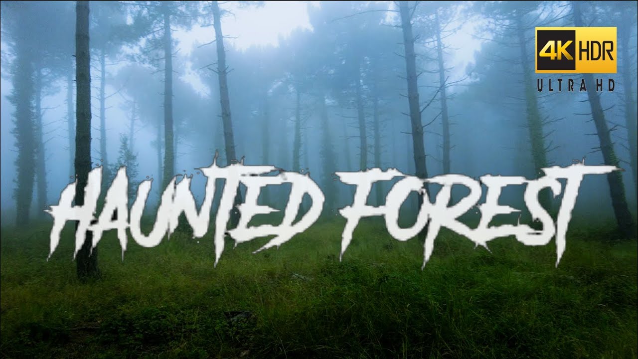 ALONE in a HAUNTED FOREST | 4K WALK | SPAIN 2021 | Dji Pocket 2