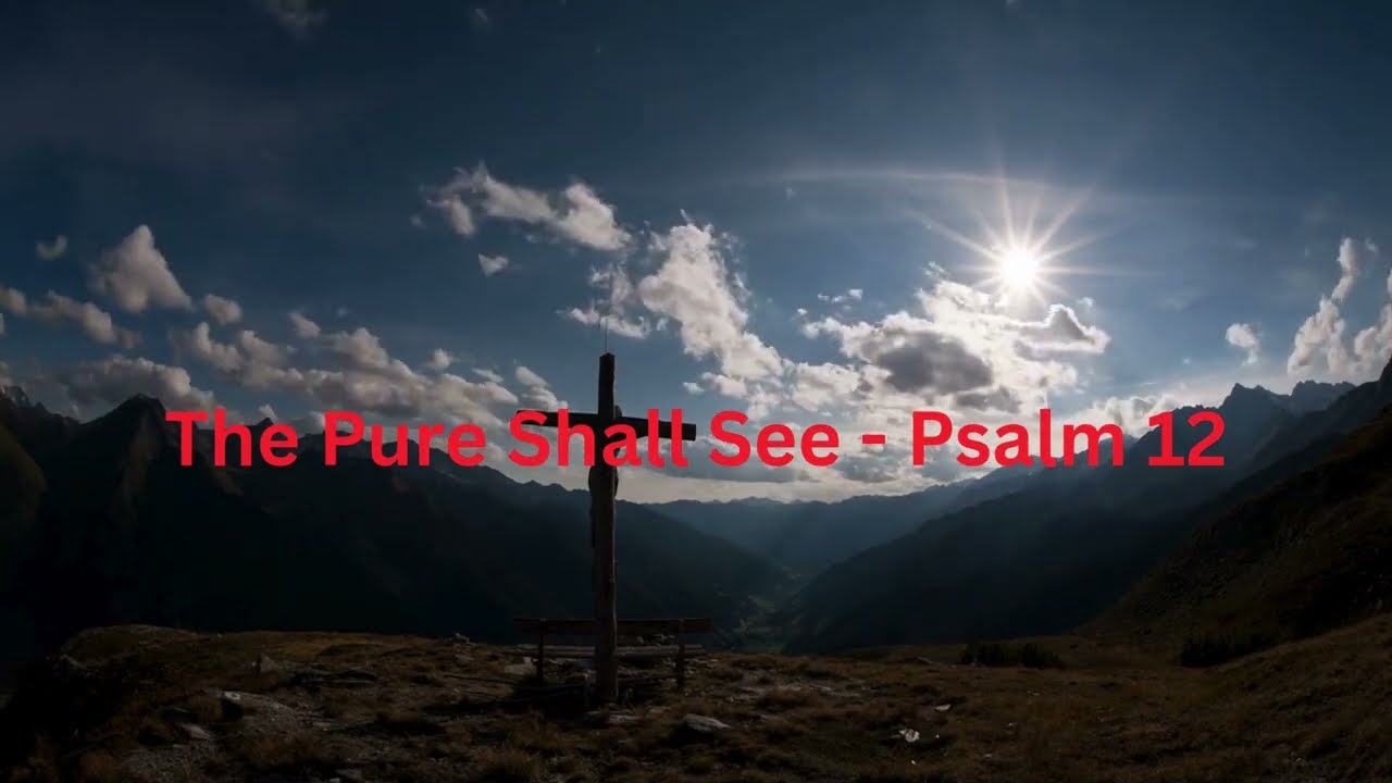 The Pure Shall See - Psalm 12