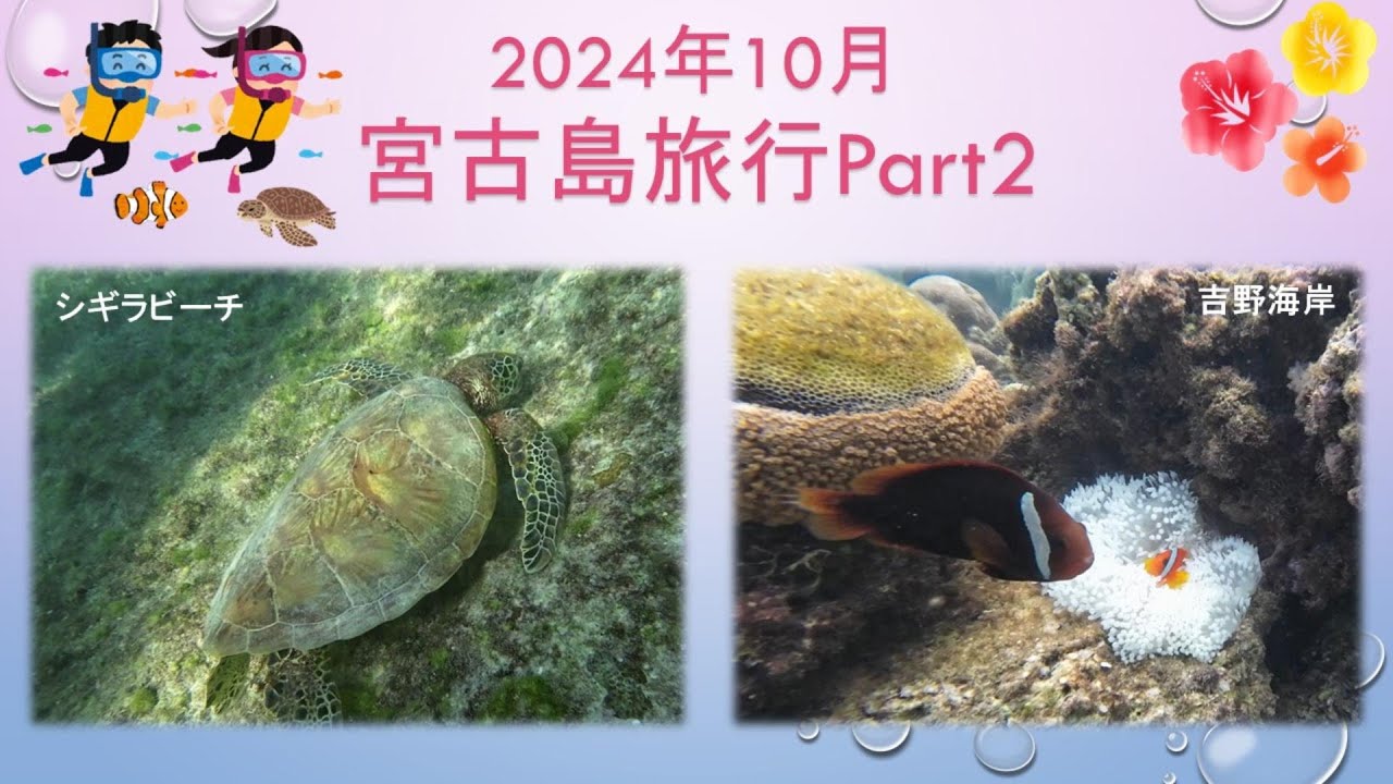【宮古島旅行】2024年10月 宮古島旅行Part2　シギラビーチ、吉野海岸、新城海岸でスノーケリング三昧