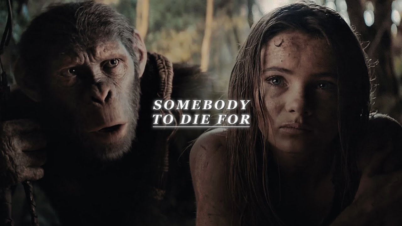 Noa & Mae | Somebody To Die For