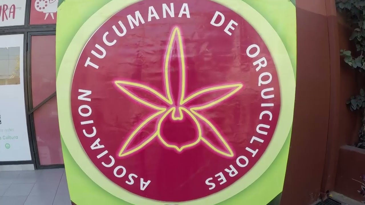ORQUIDEAS - 18 º EXPOSICION DE LA ASOCIACION TUCUMANA DE ORQUICULTORES EN YERBA BUENA