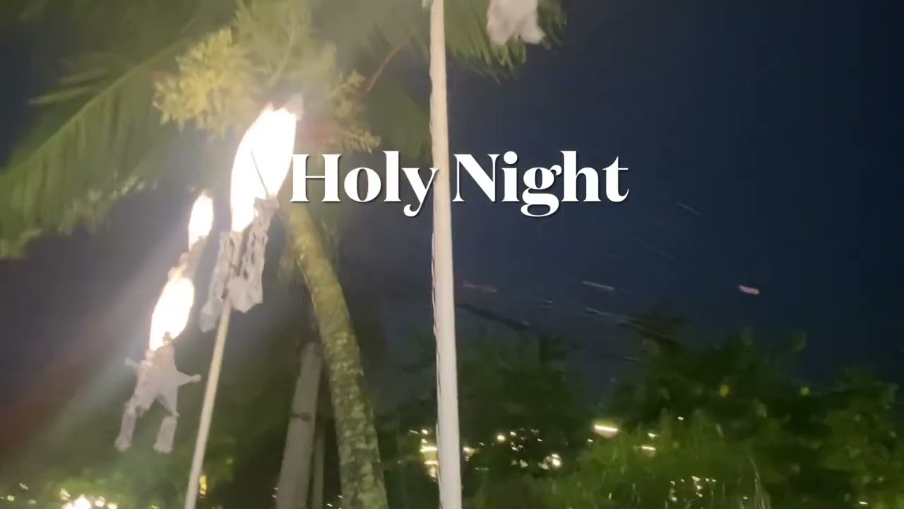 HOLY HOLY NIGHT ITS CHRISTMAS 