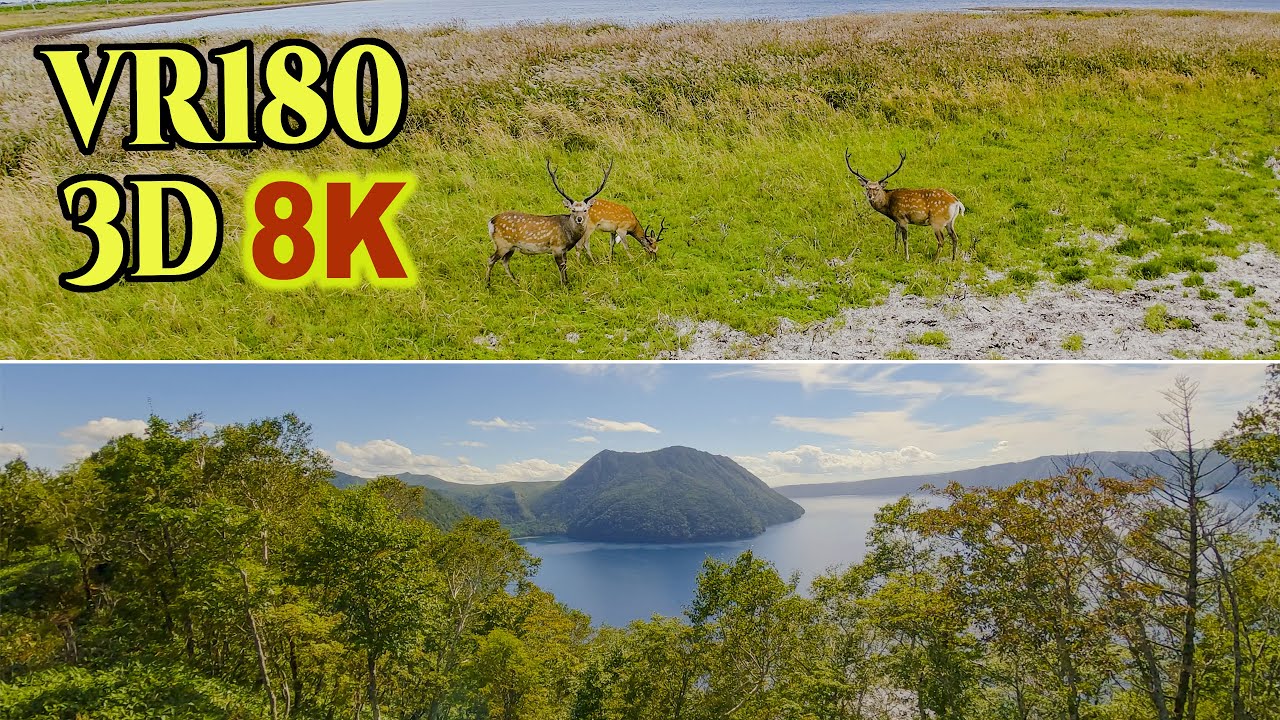 [ 8K 3D VR180 ] 夏の終わりの北海道東部（道東）の自然風景