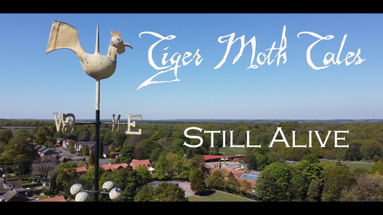 Tiger Moth Tales - Still Alive