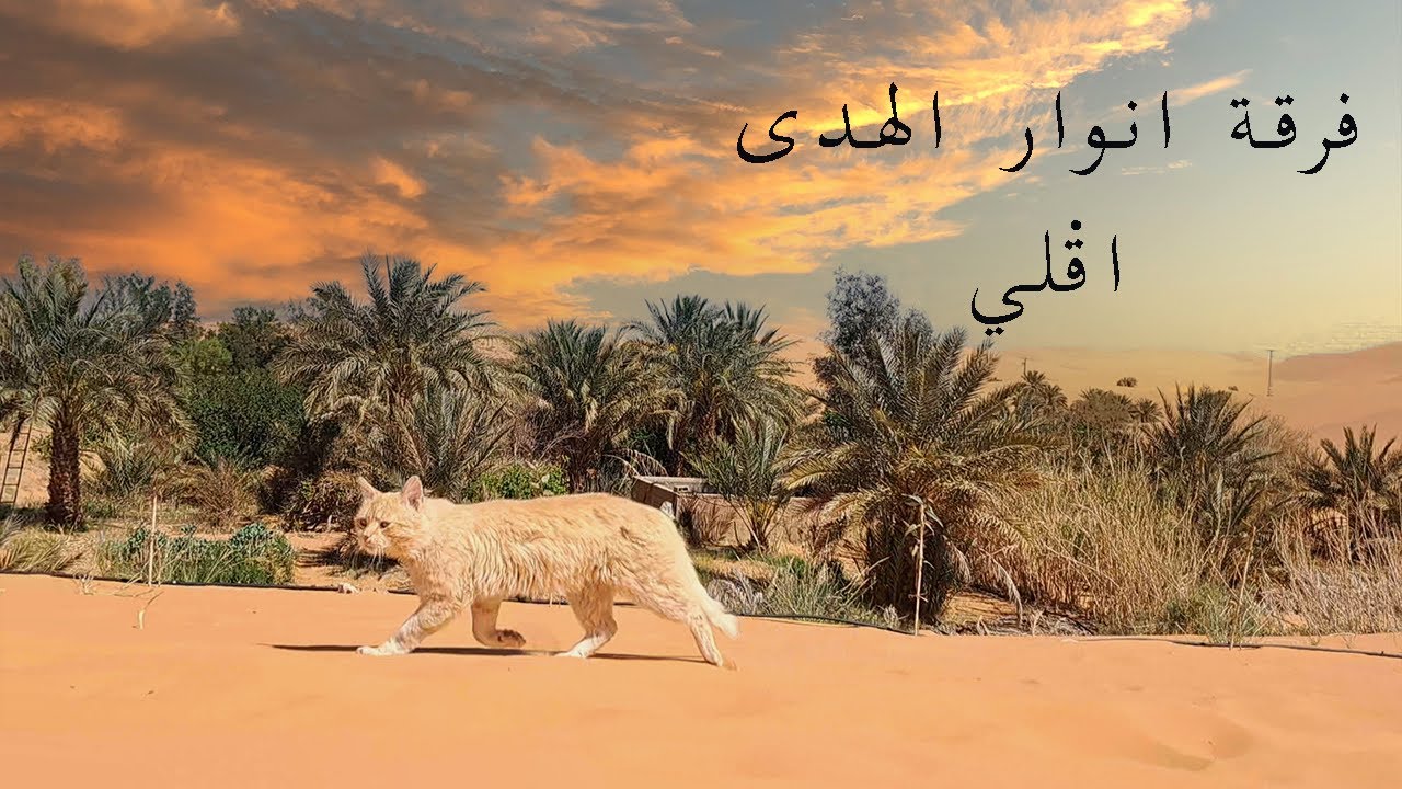 فرقة انوار الهدئ اقلي