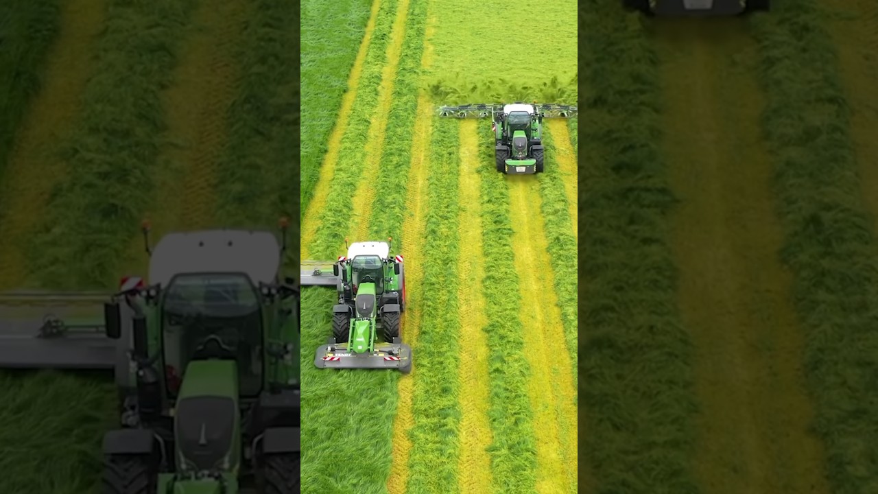 FENDT tractor working in a field tedding grass
