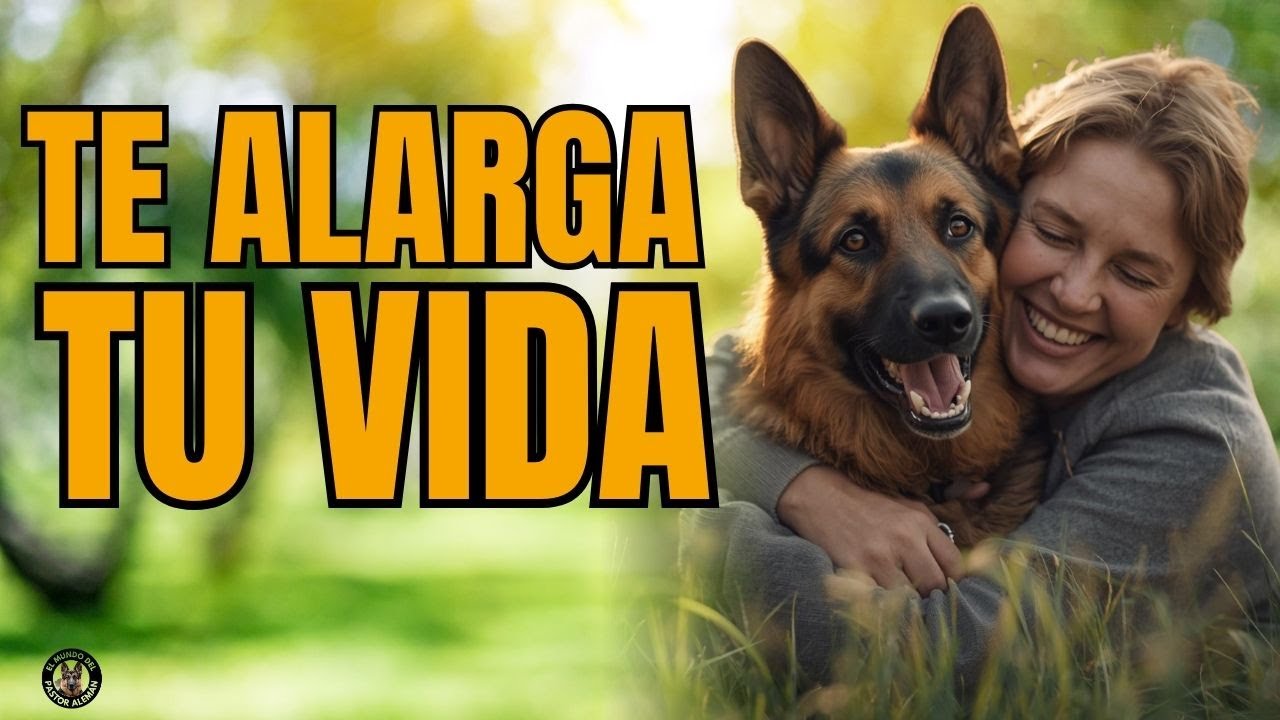 El EFECTO REAL de VIVIR con un PASTOR ALEMÁN