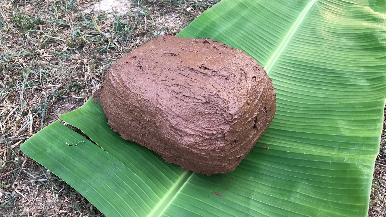 Baked mud chicken recipe in our village || no oven and no gas recipe