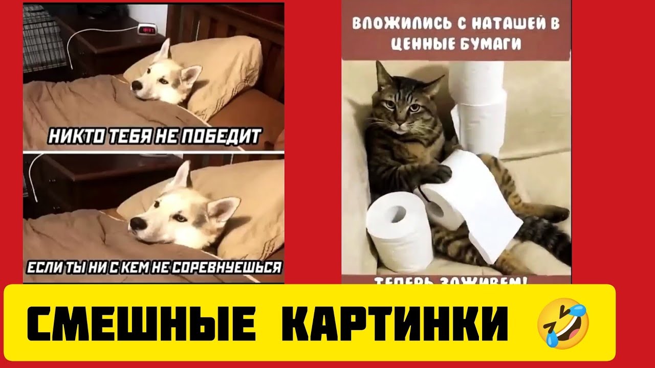 НИКТО ТЕБЯ НЕ ПОБЕДИТЕСЛИ ТЫ НИ С КЕМ НЕ СОРЕВНУЕШЬСЯ⚽смешные картинки🤣 и весёлая музыка 