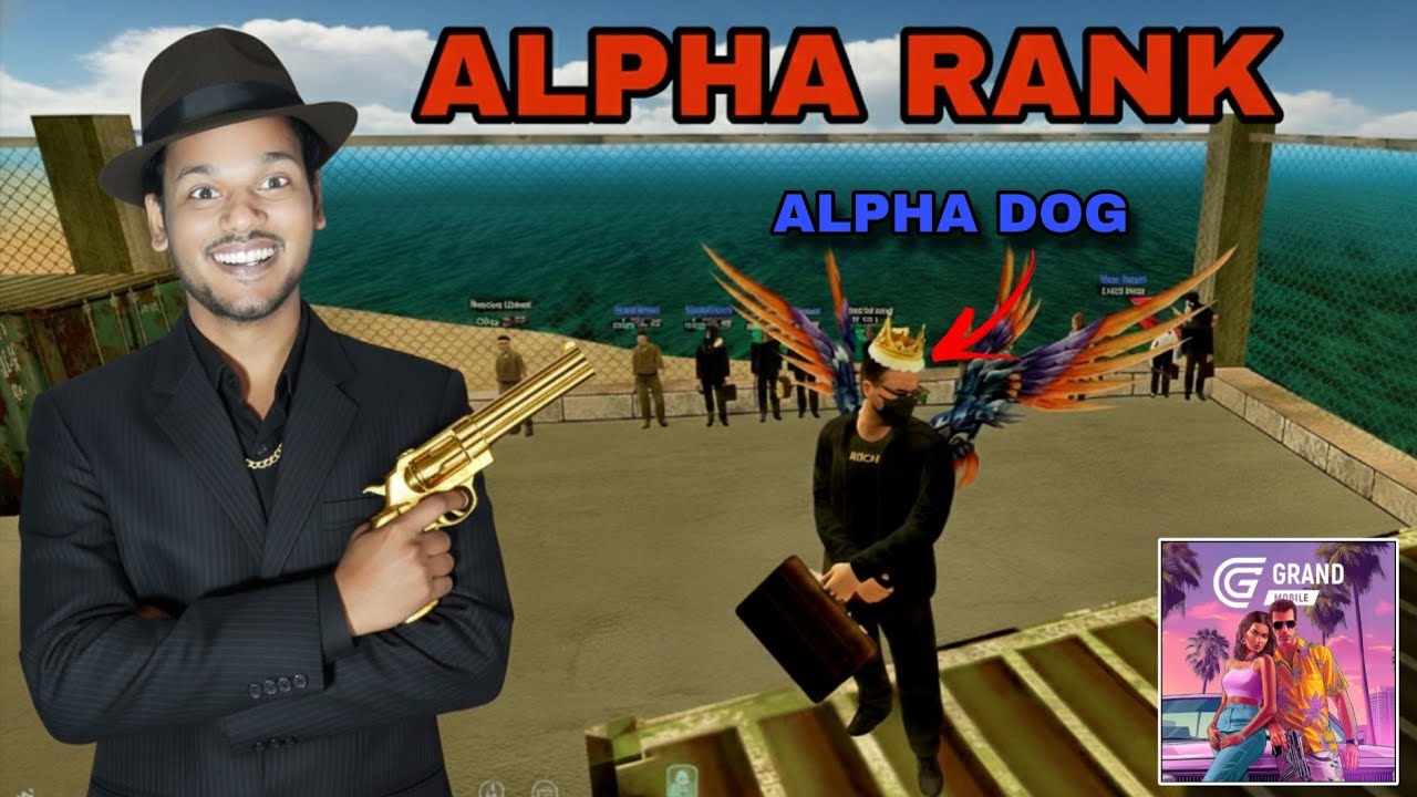 Alpha Rank Interview Passed ✅ Became Alpha Dog | OCG Series Ep 11 | Grand Mobile OCG