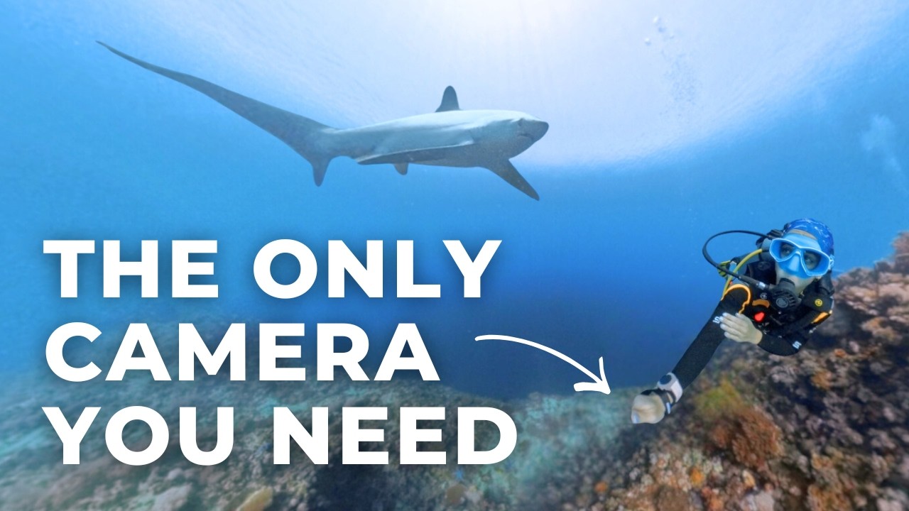 Зачем дайверам нужна камера с обзором на 360°?