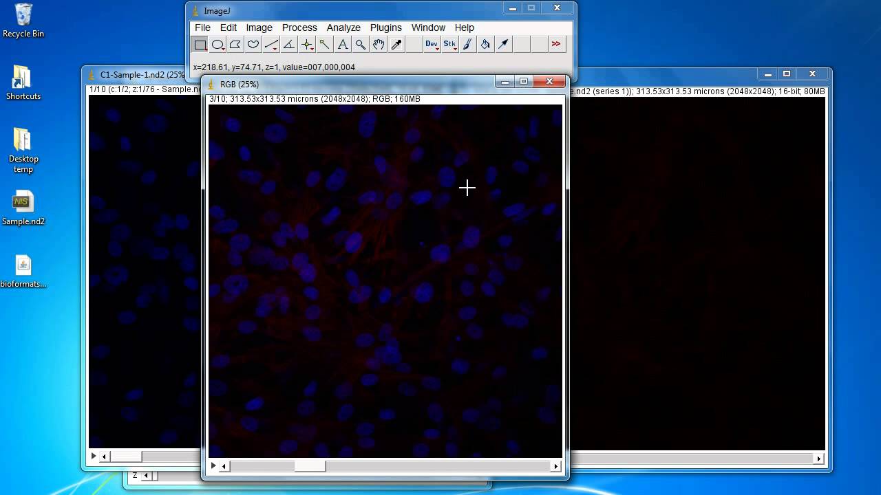 ImageJ Tutorial: How to create videos of overlay z-stack