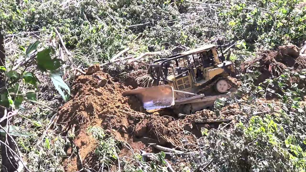 Unbelievable Transformation: CAT D6R XL Bulldozer Converts Dense Forest to Flat Ground
