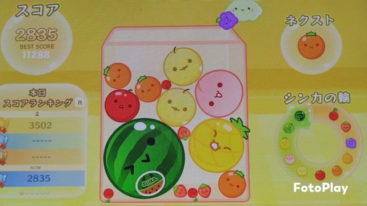 ダブルスイカ？？