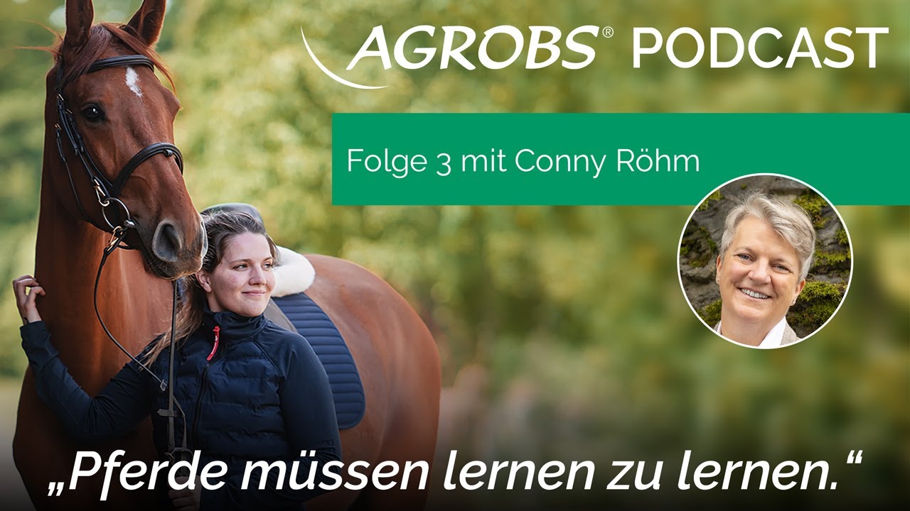 Pferde müssen lernen zu lernen