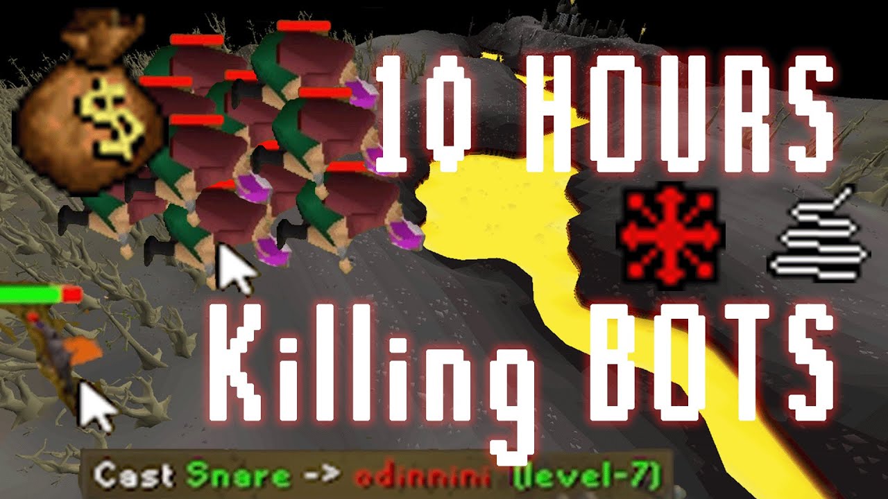 I spent 10 Hours Killing Low Level Bots