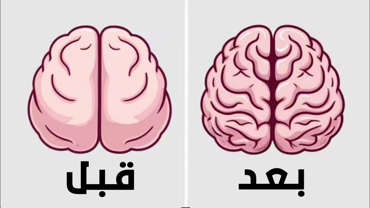 كيف تقوي ذاكرتك 350% | 5 تمارين لزيادة التركيز وتقليل التشتت