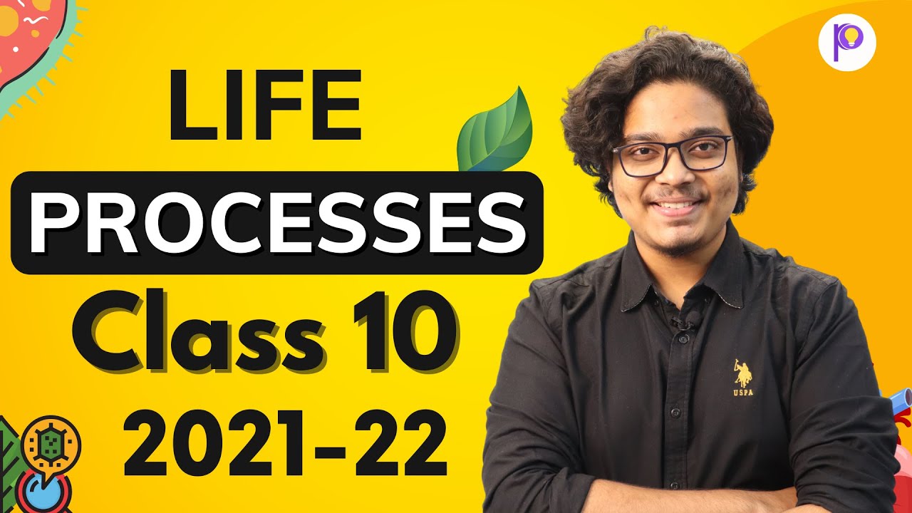 Life Processes Class 10 2021-22 | Class 10 Biology | Nutrition & Digestion