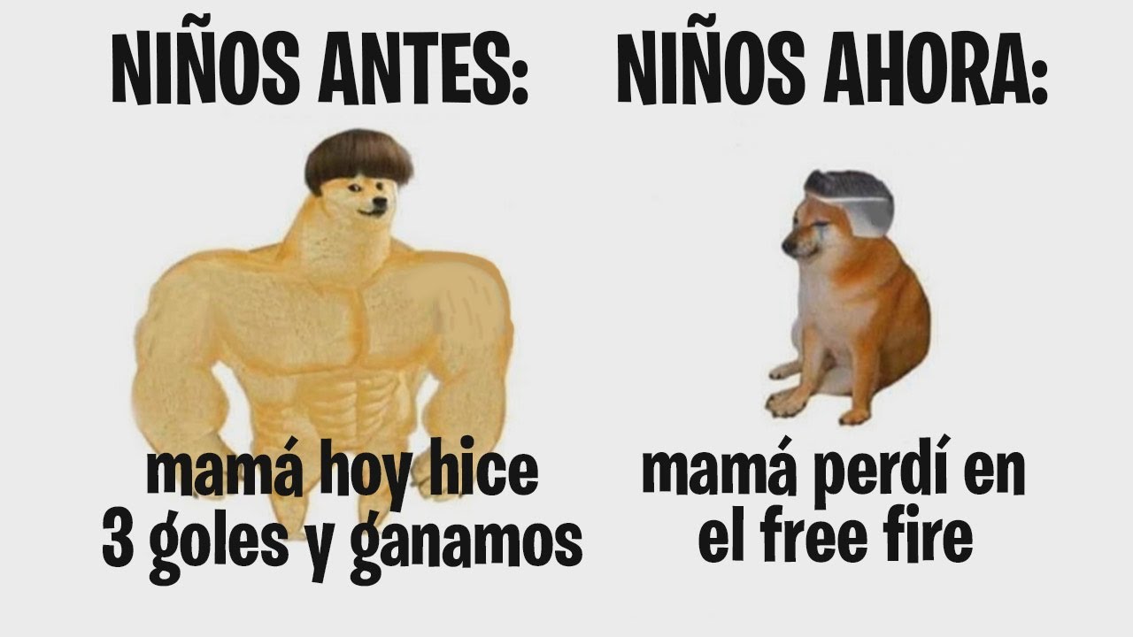 memes de este perrito xdd