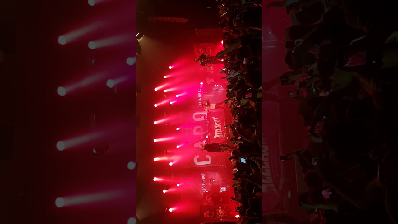CAPO - ALLES AUF ROT (Capo-AllesAufRot Tour 2017 Frankfurt batschkapp)