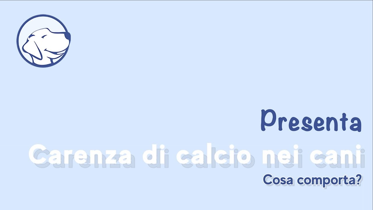 Cosa comporta la carenza di CALCIO nei Cani?
