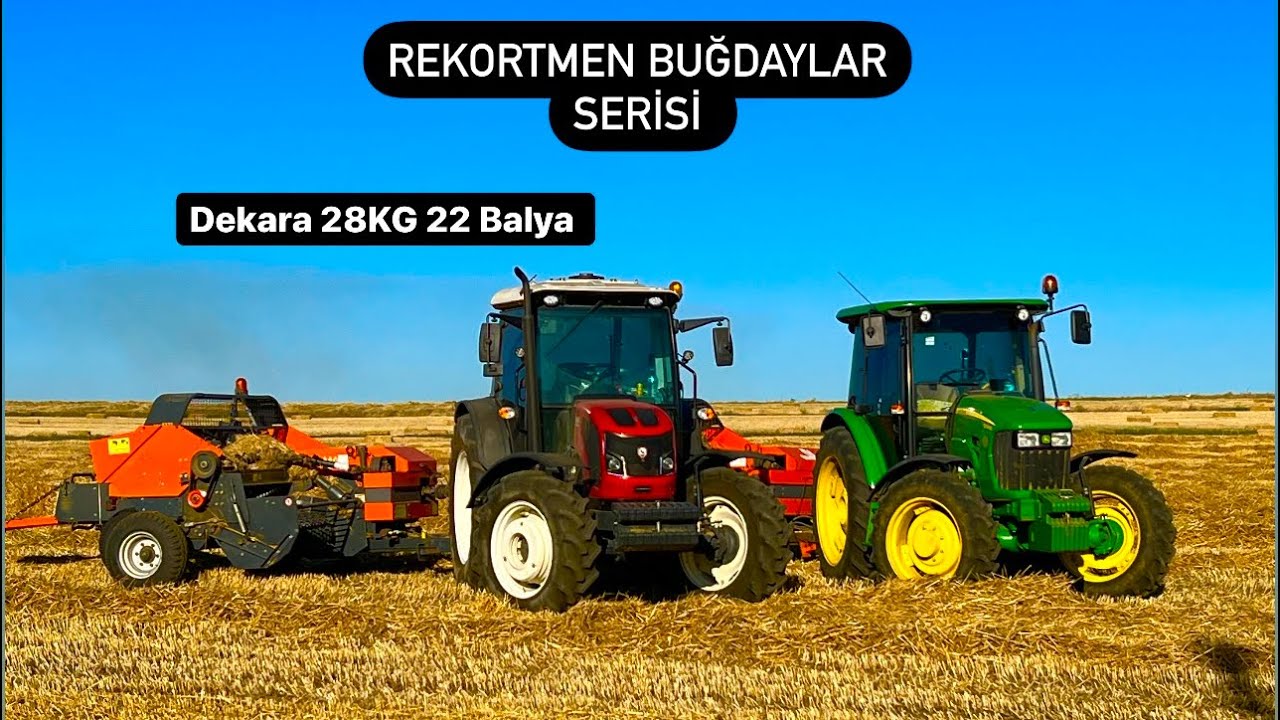 Rekortmen Buğdaylar Serisi | Massacio | Dekara 28 KG 22 Balya | Ekmenizi Tavsiye Ederim