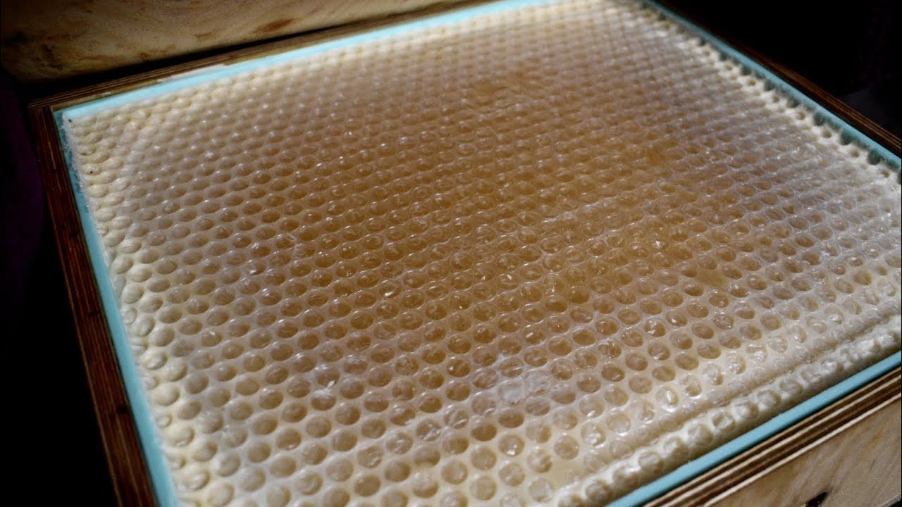 White Honey Soap Making | Soap Gel Phase