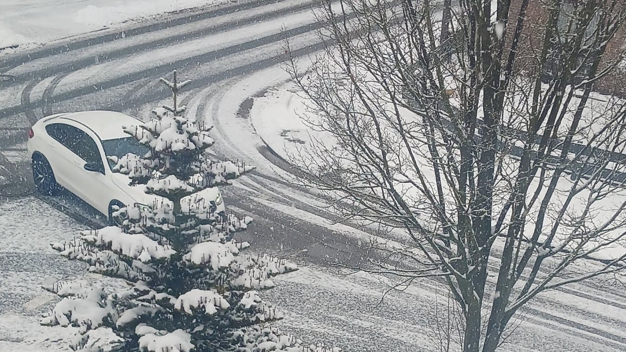LIVE: SNOW FALLING NOW 🌨️✨ 🇩🇪| RELAXING WINTER VIBES”