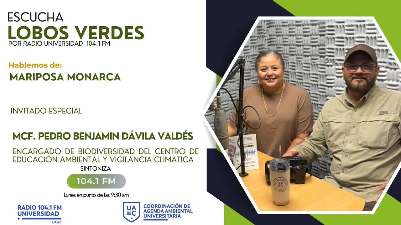 PROGRAMA DE RADIO // LOBOS VERDES// MARIPOSA MONARCA // E29//