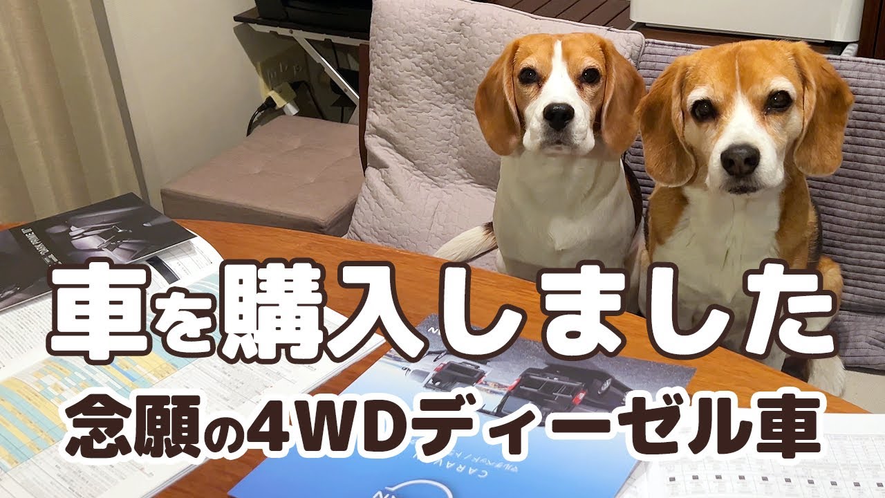【新車購入】犬とキャンプや車中泊を楽しむために選んだのはこの車！【日産キャラバン/ディーゼル/4WD】